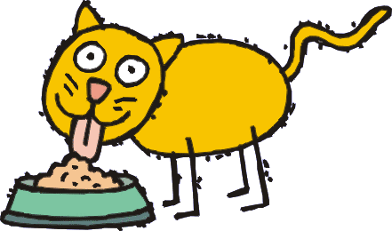 Pets Need Wholesome Food Also!