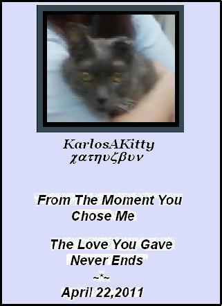 Karlosakitty
